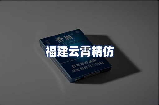福建云霄精仿